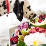 Holiday Food Dangers for Dogs and Cats